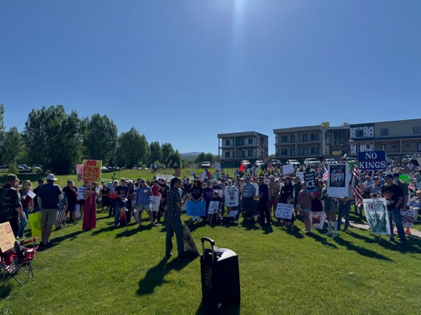 Freedom Park No Kings protest today in Edwards, CO